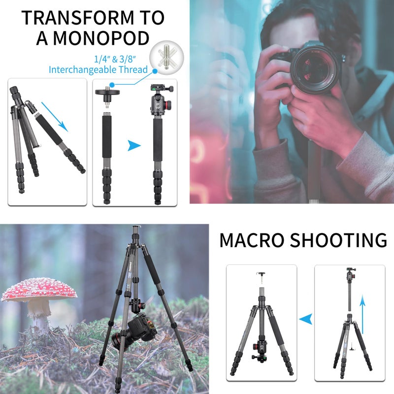 Innorel 10 Layers Carbon Fiber Travel Tripod Monopod-INNOREL RT55C with 36mm Panoramic Ball Head 360 Degree and Carrying Case Professional Lightweight Compact Tripods for Digital Camera Camcorder DSLR - Image 4